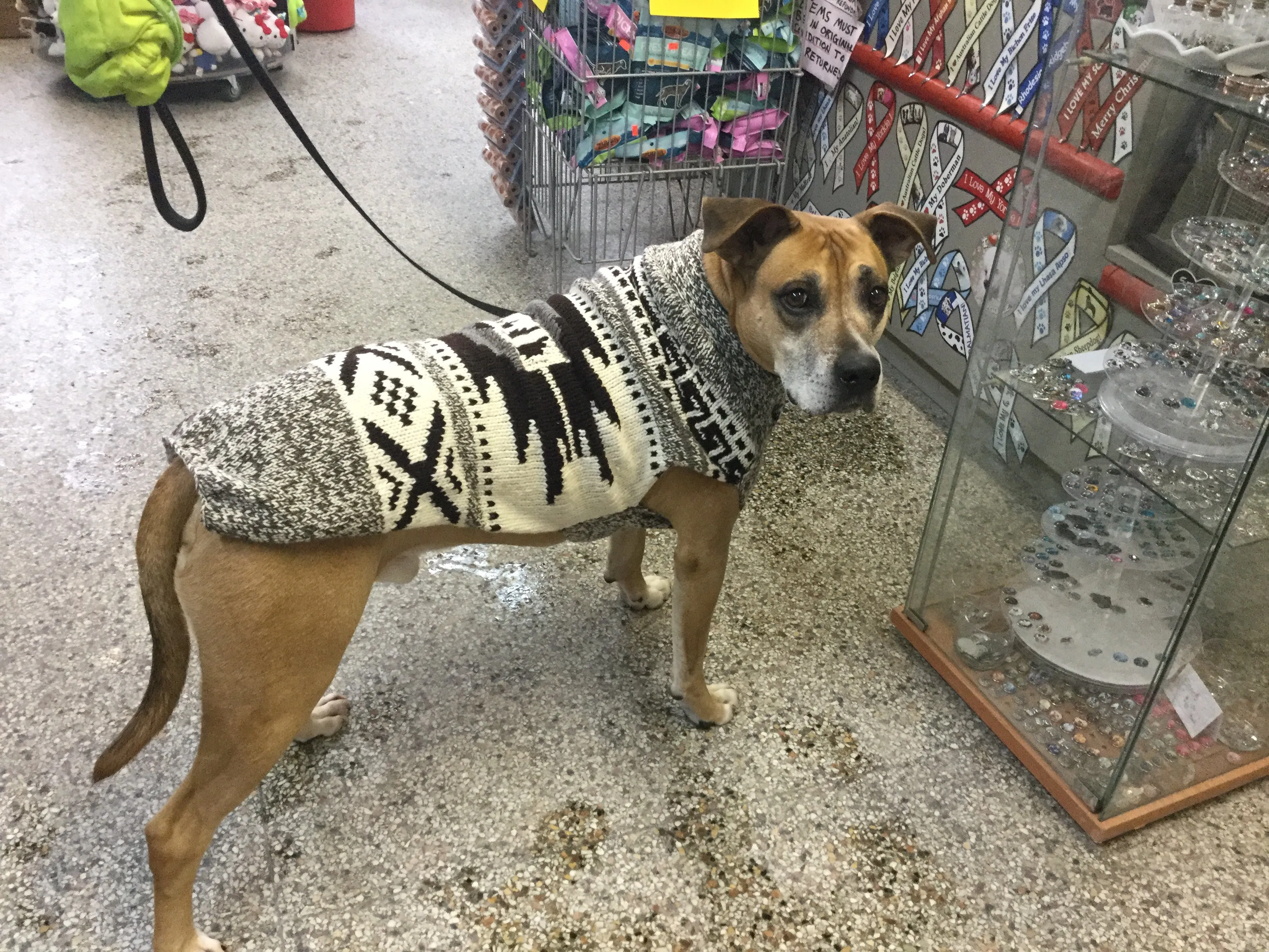 Chilly Dog Sweater Rustic Aztec SALE